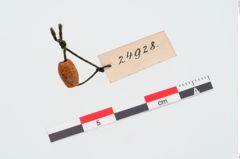Foto von Bernsteinperle (NHMW-PRAE-024928)